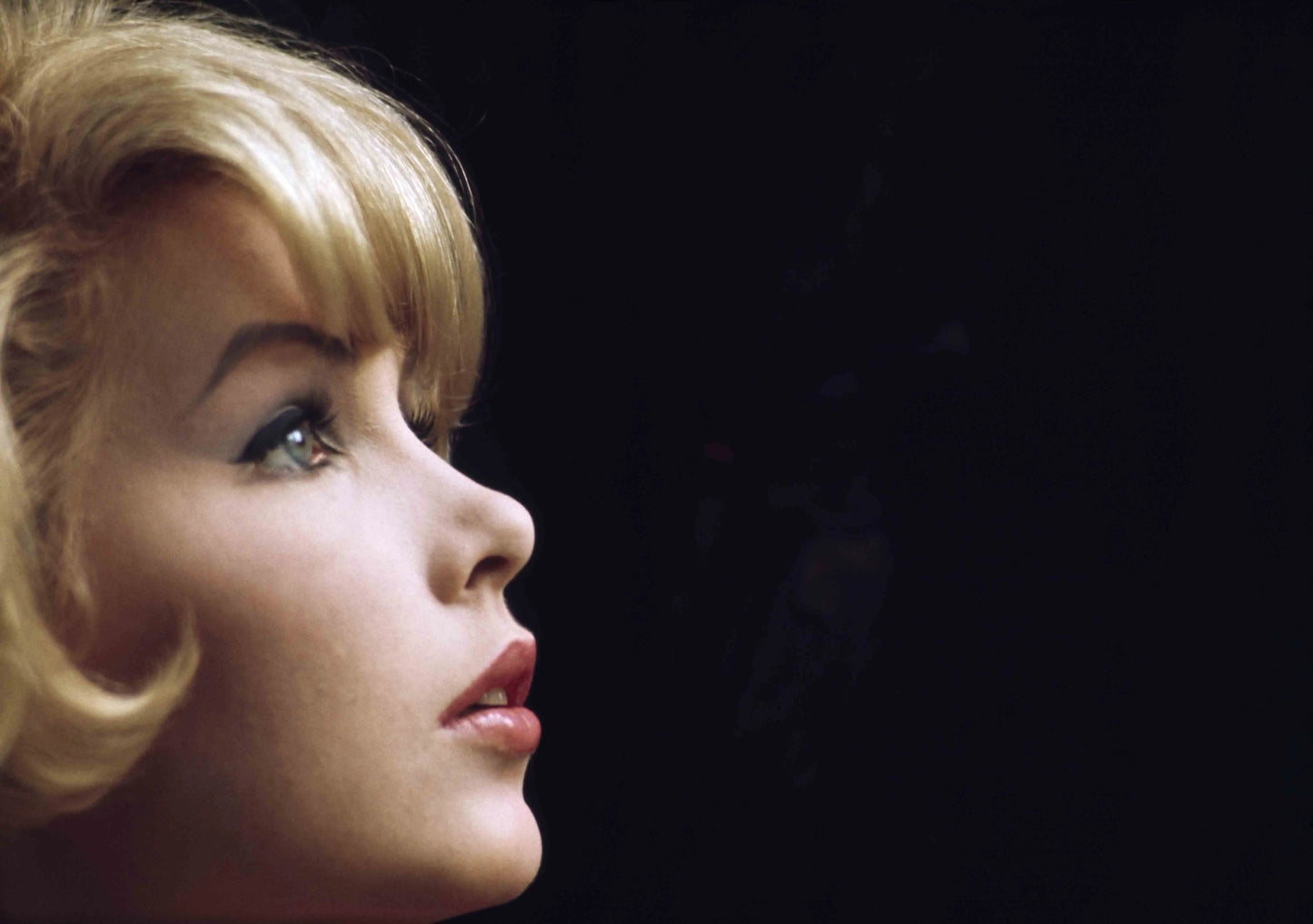 Stella Stevens, 1966 - Orange Community Arts Guild