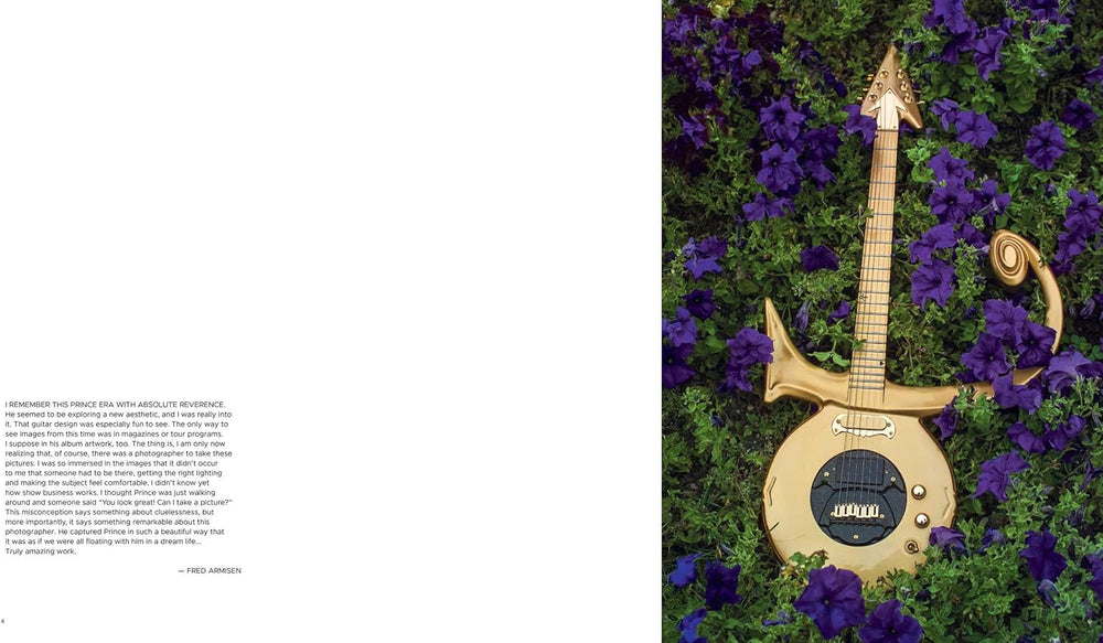 Prince: Black, White, Color by Steve Parke Orange Community Arts Guild