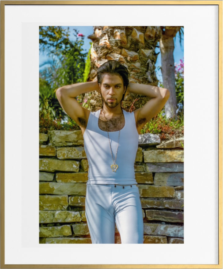 Prince  Black, White , Color by Steve Parke pg 232 Orange Community Arts Guild