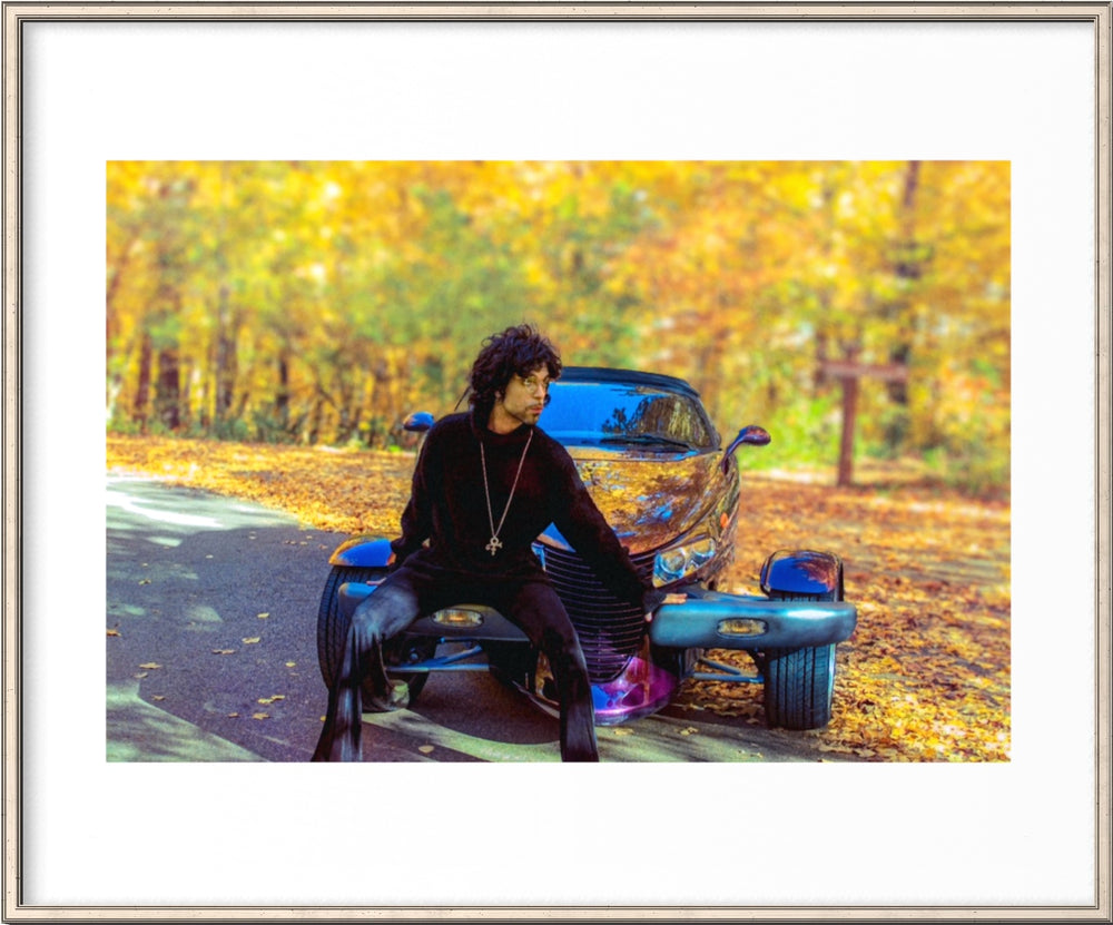 Prince  Black, White , Color by Steve Parke pg 254 Orange Community Arts Guild