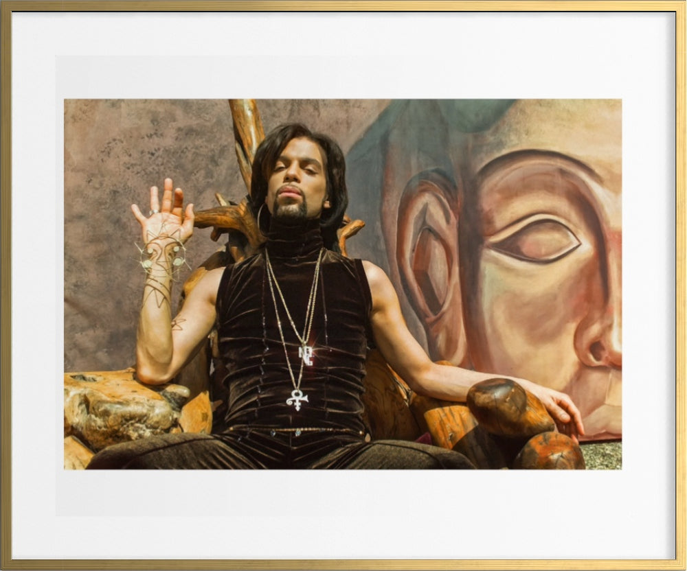 Prince  Black, White , Color by Steve Parke pg 213 Orange Community Arts Guild
