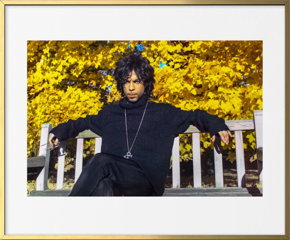 Prince  Black, White , Color by Steve Parke pg 249 Orange Community Arts Guild