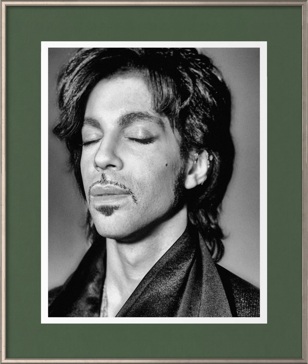 Prince  Black, White , Color by Steve Parke pg 61 Orange Community Arts Guild