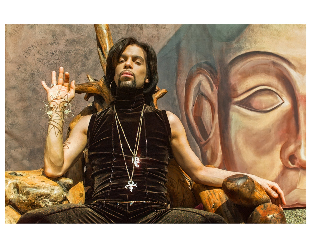 Prince  Black, White , Color by Steve Parke pg 213 Orange Community Arts Guild